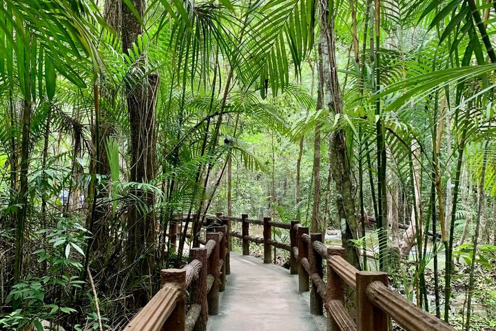 Krabi Dschungeltour mit heißen Quellen, Smaragdpool und Tigerhöhlentempel, Foto 7 | wizardtrip