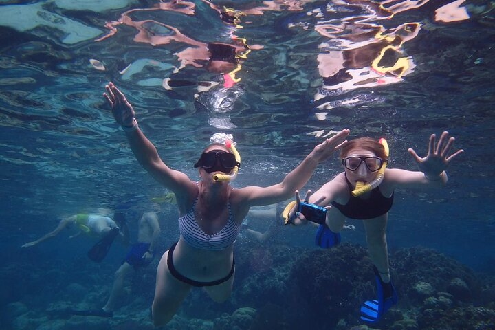 Excursion d'une journée snorkeling à Hol Chan, Shark Ray & Plus ; San Pedro Belize | wizardtrip