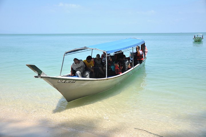 Bådtur gennem Langkawi Kilim-mangroveskov, der viser dyreliv og natursceneri, foto 12 | wizardtrip