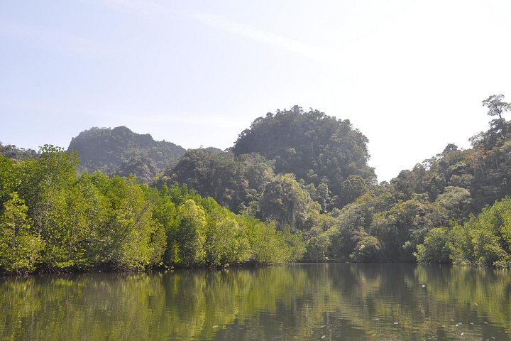 Bådtur gennem Langkawi Kilim-mangroveskov, der viser dyreliv og natursceneri, foto 13 | wizardtrip