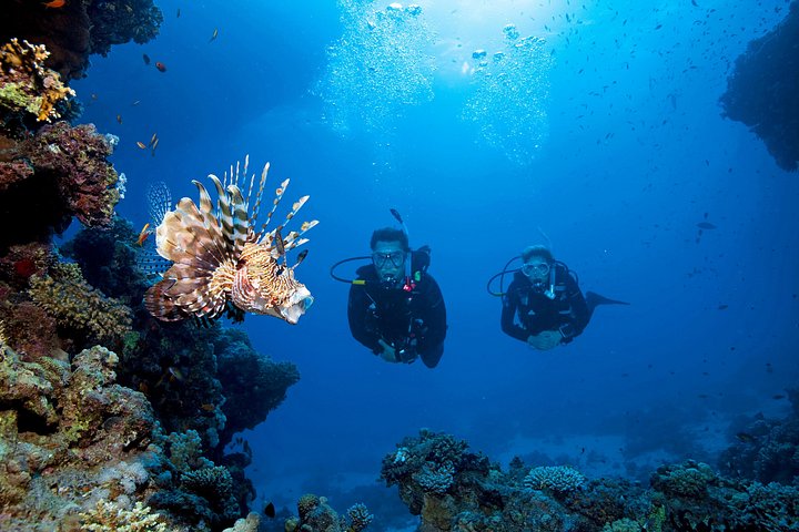 Beginner duikcursus in Phuket, Thailand, verkenning van onderwaterleven, foto 7 | wizardtrip
