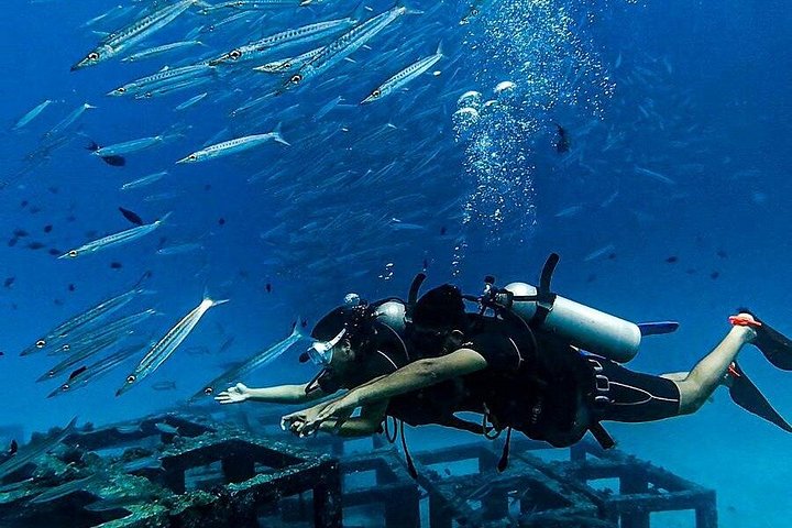 Beginner duikcursus in Phuket, Thailand, verkenning van onderwaterleven, foto 10 | wizardtrip