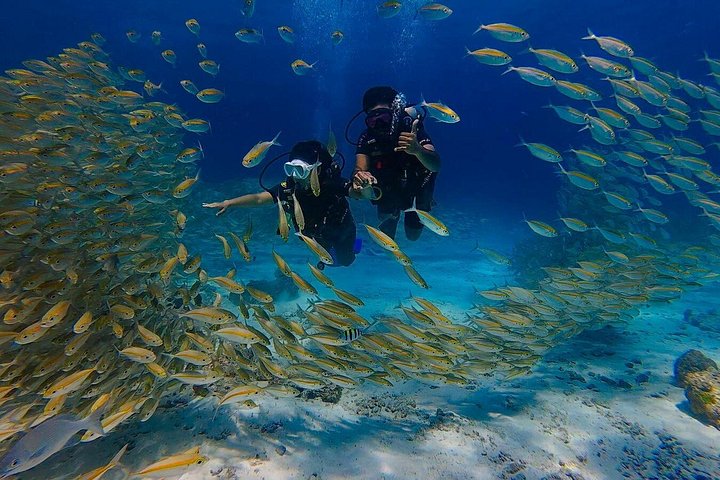 Beginner duikcursus in Phuket, Thailand, verkenning van onderwaterleven, foto 14 | wizardtrip