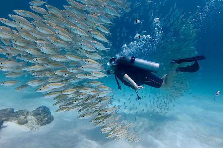 Beginner duikcursus in Phuket, Thailand, verkenning van onderwaterleven, foto 16 | wizardtrip