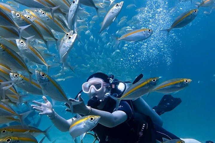 Beginner duikcursus in Phuket, Thailand, verkenning van onderwaterleven, foto 17 | wizardtrip