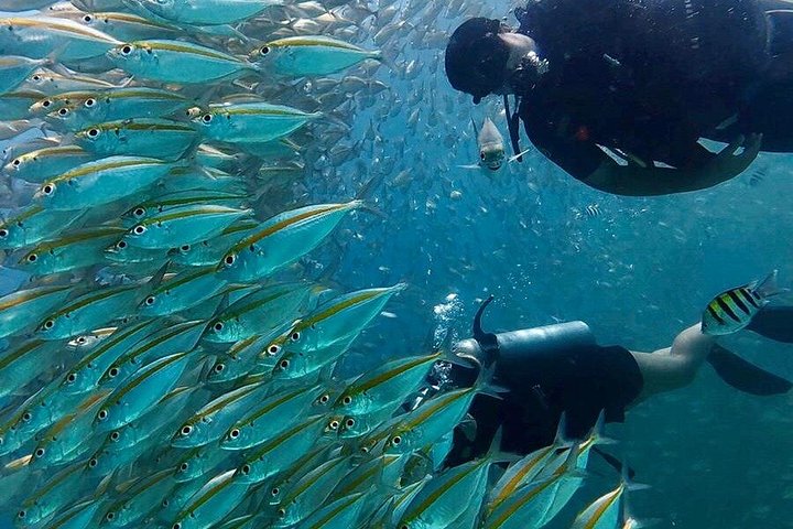 Beginner duikcursus in Phuket, Thailand, verkenning van onderwaterleven, foto 19 | wizardtrip