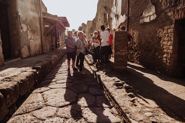 Herculaneum Small Group Tour and Ticket With an Archaeologist | wizardtrip