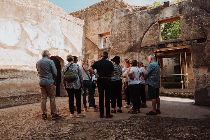 Pompeii and Herculaneum Small Group Tour with an Archaeologist | wizardtrip