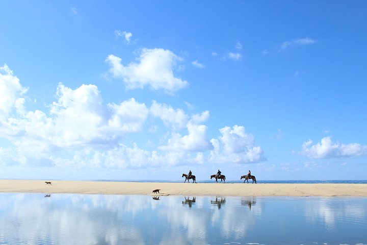 Tour a Cavallo a Cabo San Lucas | wizardtrip