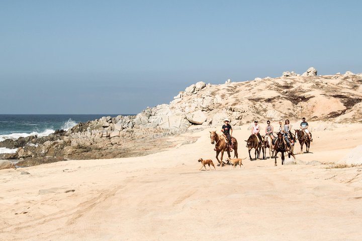 Ridetur langs kysten og ørkenstier i Cabo San Lucas, Mexico, foto 7 | wizardtrip
