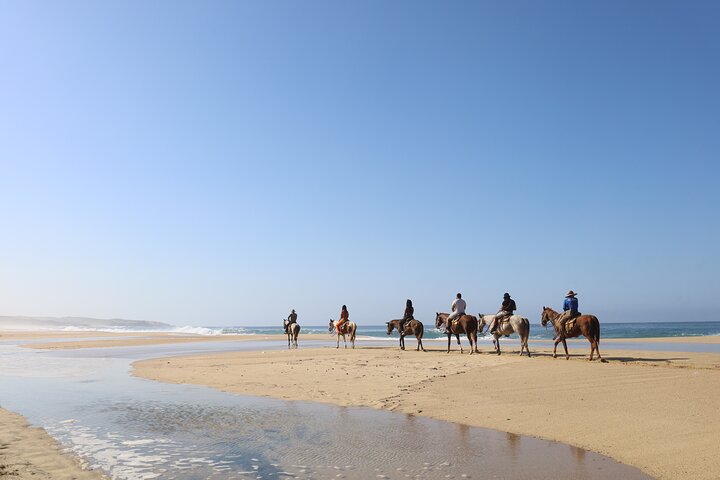 Ridetur langs kysten og ørkenstier i Cabo San Lucas, Mexico, foto 8 | wizardtrip