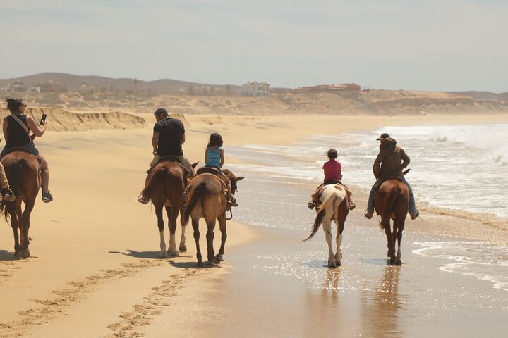 Ridetur langs kysten og ørkenstier i Cabo San Lucas, Mexico, foto 10 | wizardtrip