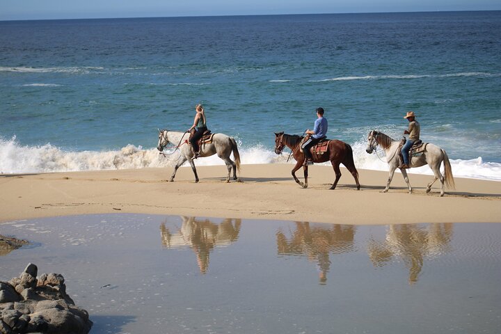 Ridetur langs kysten og ørkenstier i Cabo San Lucas, Mexico, foto 12 | wizardtrip