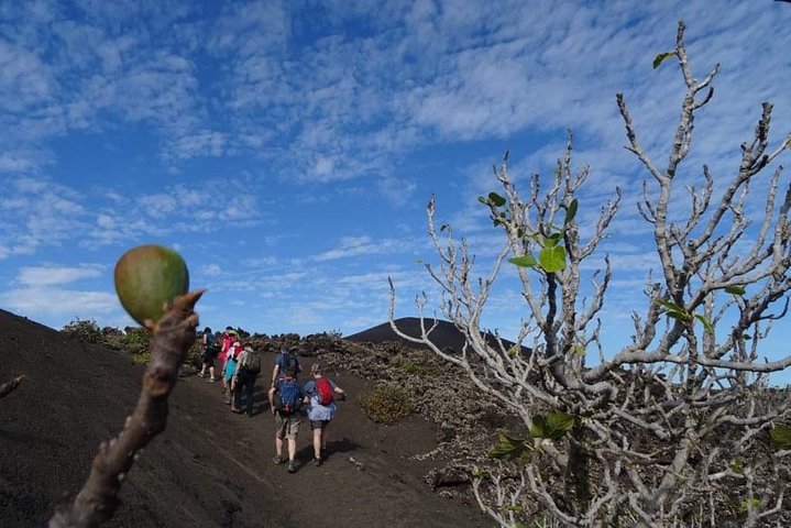 Volcanic trekking tour in Timanfaya National Park, Lanzarote, photo 7 | wizardtrip