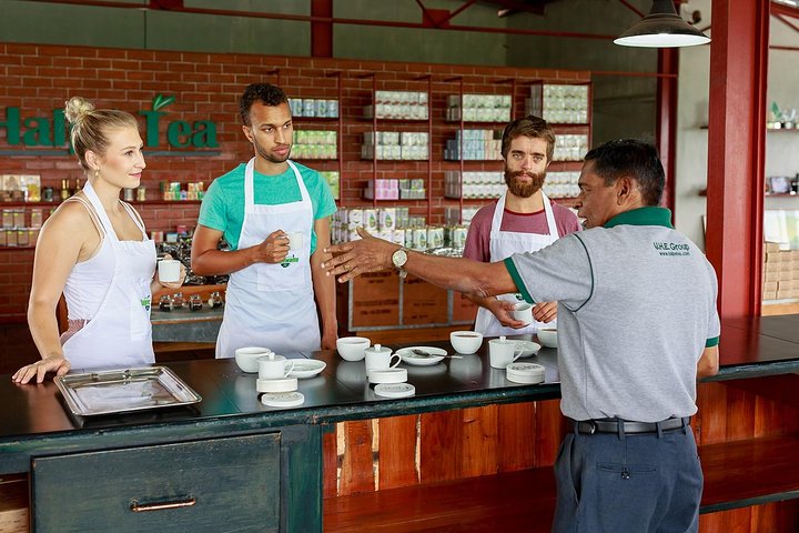 Halpewatte Tea Factory Tour in Ella Sri Lanka | wizardtrip