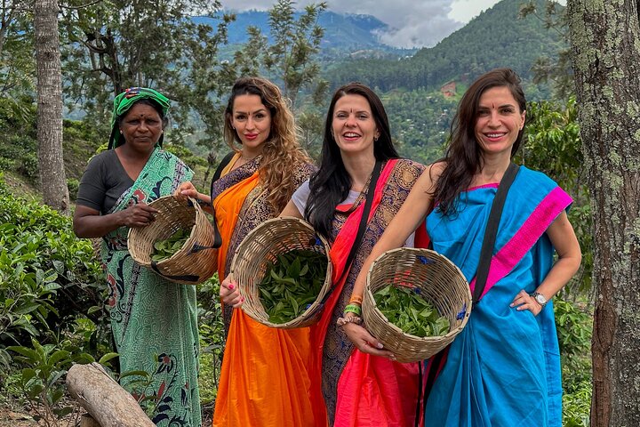 Halpewatte Tea Plantation Tour in Ella, Sri Lanka | wizardtrip