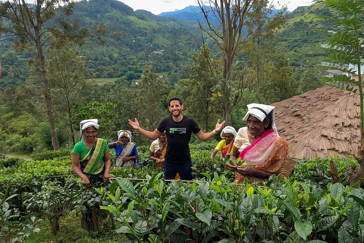 Tur på en teplantage i Ella, Sri Lanka, inklusive teplockning och provsmakning, foto 11 | wizardtrip