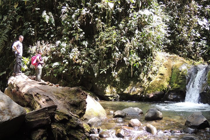 Private Mindo Cloud Forest day tour from Quito, Ecuador, featuring hummingbirds, waterfalls, and cable car views, photo 14 | wizardtrip