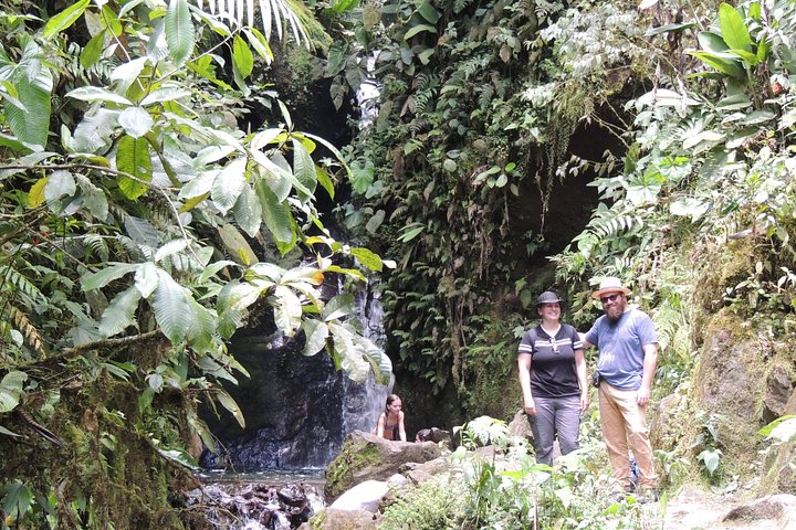 Private Mindo Cloud Forest day tour from Quito, Ecuador, featuring hummingbirds, waterfalls, and cable car views, photo 16 | wizardtrip