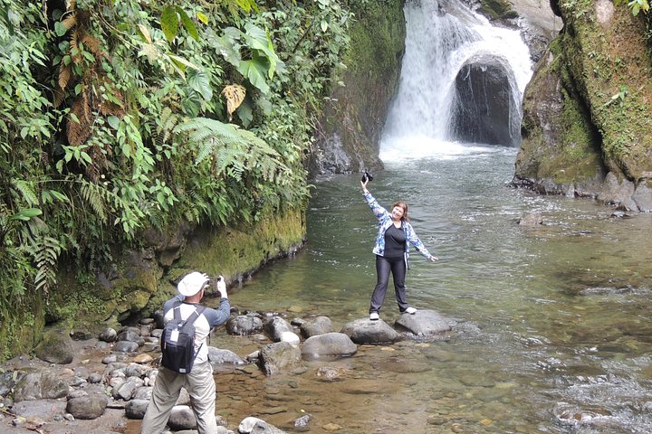 Private Mindo Cloud Forest day tour from Quito, Ecuador, featuring hummingbirds, waterfalls, and cable car views, photo 20 | wizardtrip