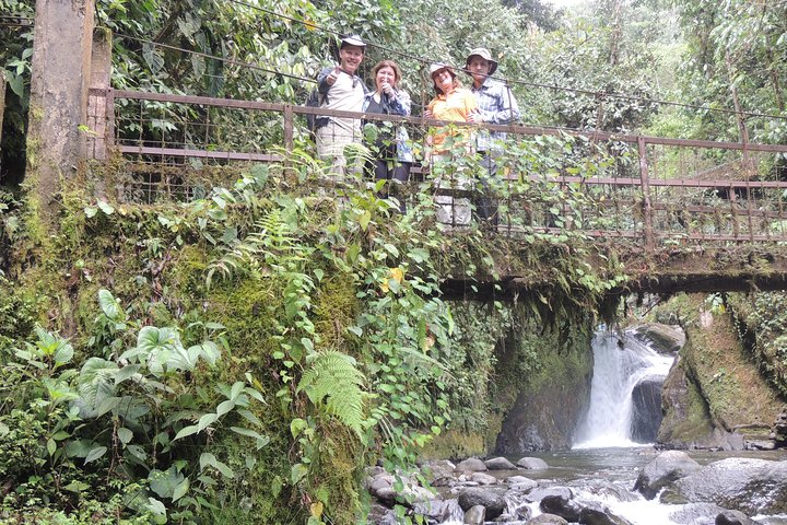 Private Mindo Cloud Forest day tour from Quito, Ecuador, featuring hummingbirds, waterfalls, and cable car views, photo 22 | wizardtrip