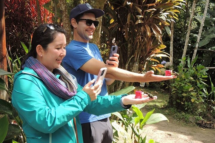 Private Mindo Cloud Forest day tour from Quito, Ecuador, featuring hummingbirds, waterfalls, and cable car views, photo 25 | wizardtrip