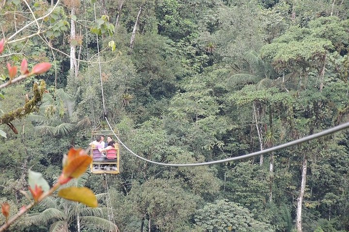 Private Mindo Cloud Forest day tour from Quito, Ecuador, featuring hummingbirds, waterfalls, and cable car views, photo 27 | wizardtrip