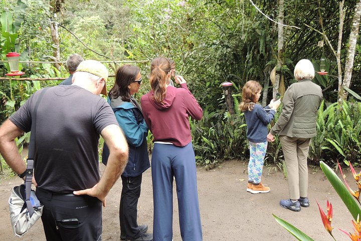 Private Mindo Cloud Forest day tour from Quito, Ecuador, featuring hummingbirds, waterfalls, and cable car views, photo 29 | wizardtrip