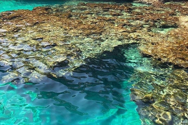 Båttur som utforsker sjøgrotter og kystlinje i Puglia, Italia, med bading og aperitiff, foto 7 | wizardtrip