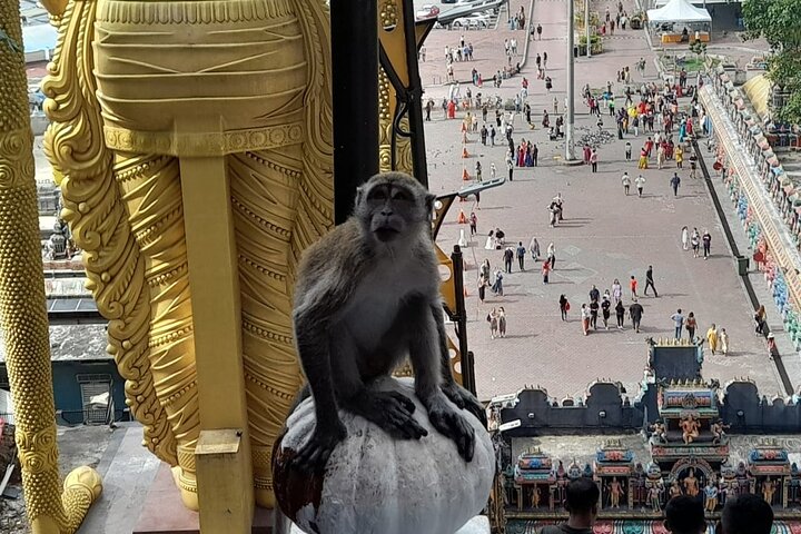 Dagexcursie privétour die de iconische bezienswaardigheden en culturele plekken van Kuala Lumpur verkent, foto 34 | wizardtrip
