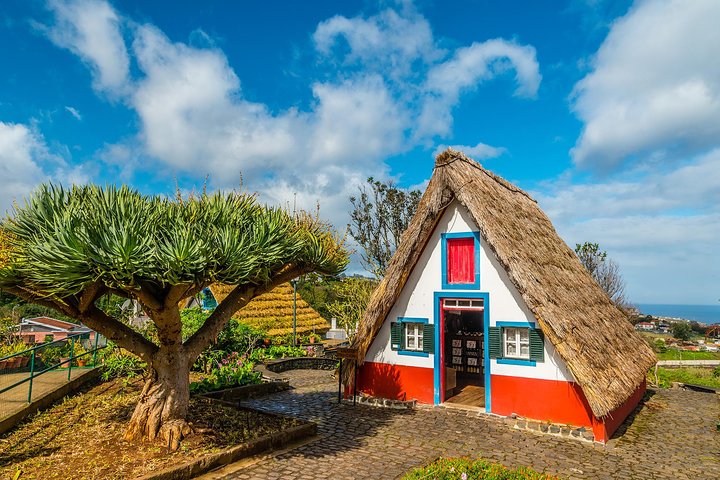 Madeira East Tour from Funchal | wizardtrip