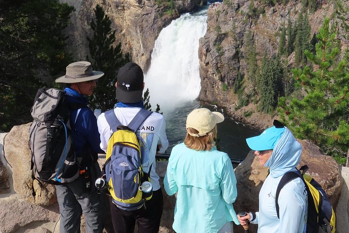 Randonnée guidée dans le Grand Canyon du Yellowstone, avec des cascades spectaculaires, des canyons colorés et des paysages variés, photo 10 | wizardtrip