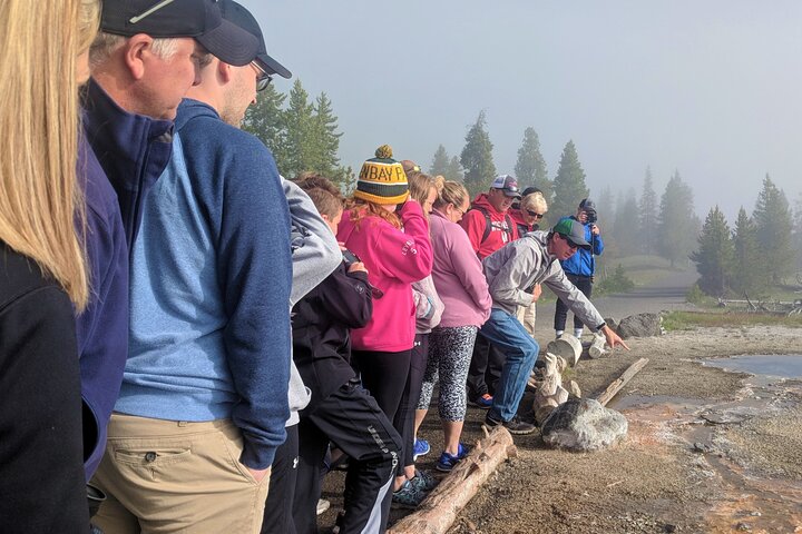Yellowstone National Park bustur med Old Faithful, Grand Prismatic Spring, dyreliv og canyon-udsigt, foto 7 | wizardtrip