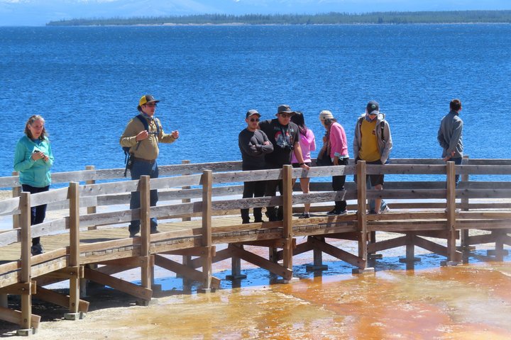 Yellowstone National Park bustur med Old Faithful, Grand Prismatic Spring, dyreliv og canyon-udsigt, foto 11 | wizardtrip