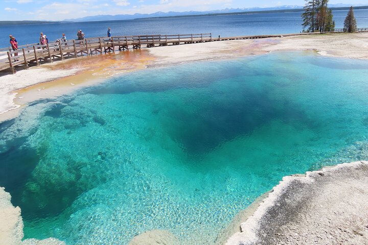 Yellowstone National Park bustur med Old Faithful, Grand Prismatic Spring, dyreliv og canyon-udsigt, foto 12 | wizardtrip