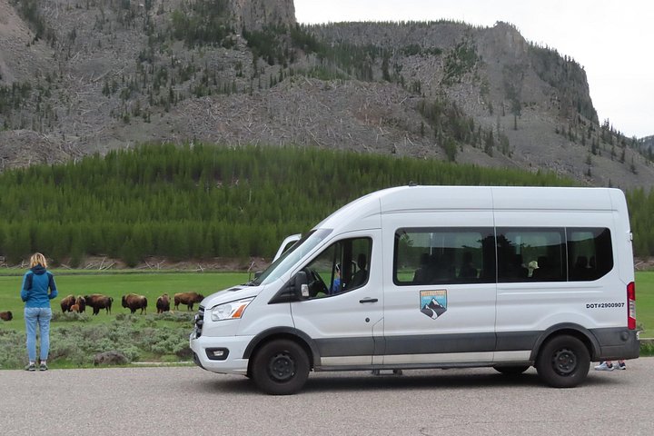 Yellowstone National Park bustur med Old Faithful, Grand Prismatic Spring, dyreliv og canyon-udsigt, foto 13 | wizardtrip