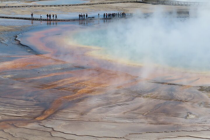 Yellowstone National Park bustur med Old Faithful, Grand Prismatic Spring, dyreliv og canyon-udsigt, foto 17 | wizardtrip