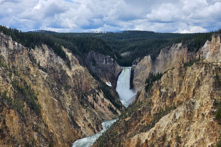 Yellowstone National Park bustur med Old Faithful, Grand Prismatic Spring, dyreliv og canyon-udsigt, foto 22 | wizardtrip