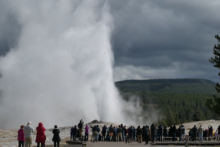 Yellowstone National Park bustur med Old Faithful, Grand Prismatic Spring, dyreliv og canyon-udsigt, foto 23 | wizardtrip