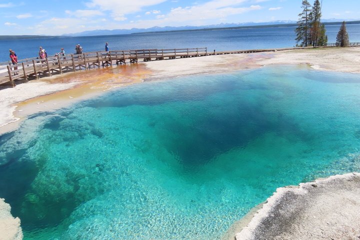 Yellowstone National Park bustur med Old Faithful, Grand Prismatic Spring, dyreliv og canyon-udsigt, foto 25 | wizardtrip