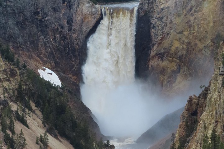 Yellowstone National Park bustur med Old Faithful, Grand Prismatic Spring, dyreliv og canyon-udsigt, foto 28 | wizardtrip