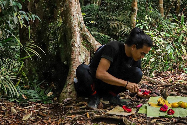 Ethische jungle trektocht avontuur in Gunung Leuser National Park, Sumatra, Indonesië, foto 10 | wizardtrip