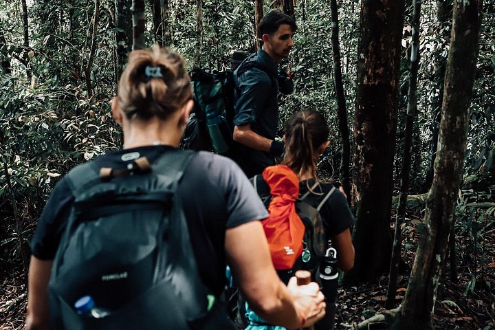 Ethische jungle trektocht avontuur in Gunung Leuser National Park, Sumatra, Indonesië, foto 14 | wizardtrip