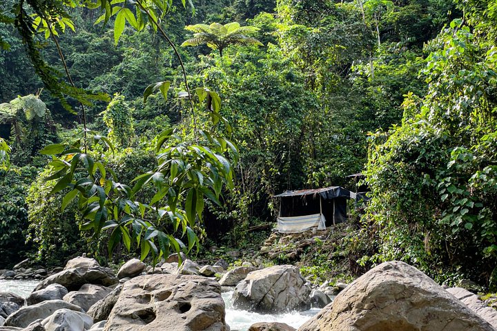Ethische jungle trektocht avontuur in Gunung Leuser National Park, Sumatra, Indonesië, foto 15 | wizardtrip