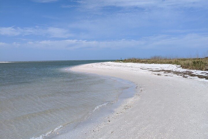 Paseo escénico en ferry a la isla Shell Key desde Fort De Soto, Florida, con avistamiento de vida silvestre y actividades de playa, foto 6 | wizardtrip
