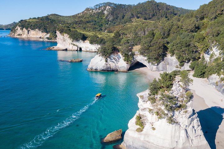 Bateau à Fond de Verre Whitianga Croisière Cathedral Cove | wizardtrip