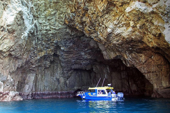 Passeio de barco com fundo de vidro em Whitianga explorando a vida marinha e a costa, foto 8 | wizardtrip