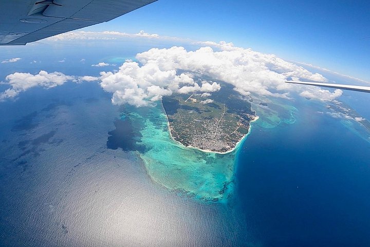 ザンジバルの白い砂浜とターコイズブルーの海の上空でのタンデムスカイダイビング、写真7 | wizardtrip