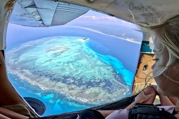 ザンジバルの白い砂浜とターコイズブルーの海の上空でのタンデムスカイダイビング、写真28 | wizardtrip