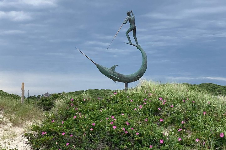 En naturskön rundtur på Martha's Vineyard som visar dess charmiga städer, historiska fyrar och vackra kustklippor, foto 6 | wizardtrip